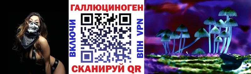 Псилоцибиновые грибы GOLDEN TEACHER Таганрог